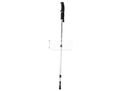Teleskopowe kijki kije nordic walking kolor srebrny