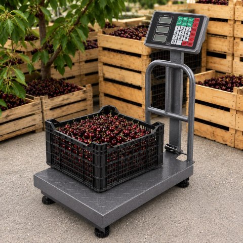 Waga magazynowa elektroniczna oparcie 100kg lcd