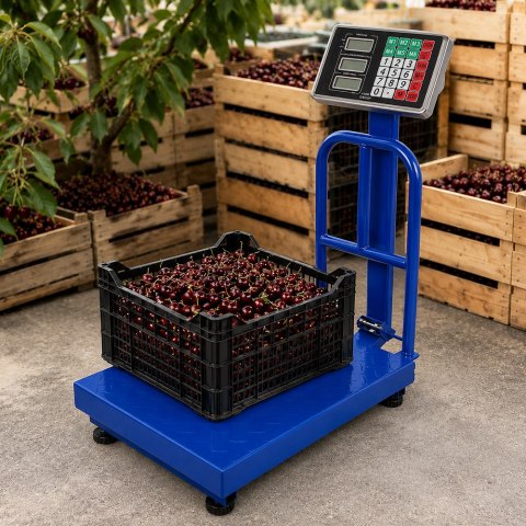 Waga magazynowa elektroniczna oparcie 100kg lcd