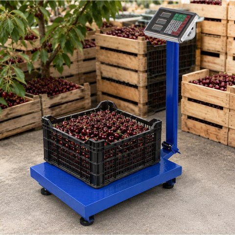 Waga magazynowa sklepowa elektroniczna 300kg lcd