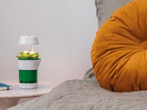 Lampa panel do uprawy wzrostu roślin 6 led 4 uv doniczka samonawadniająca