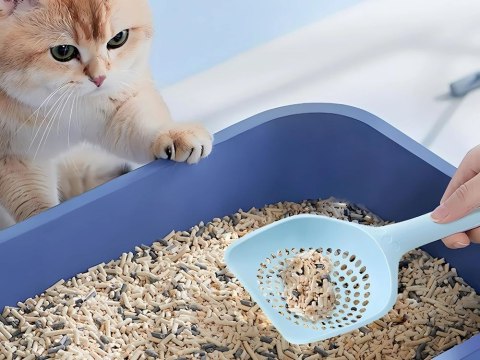 Łopatka do kuwety kota duża szpatułka do żwirku plastikowa wytrzymała