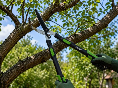 Nożyce do żywopłotu teleskopowe regulowane ręczne do krzewów 96cm DIVODV
