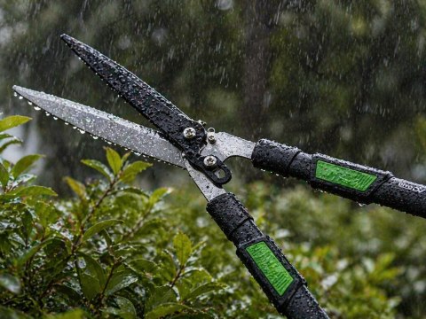 Nożyce do żywopłotu teleskopowe regulowane ręczne do krzewów 96cm DIVODV