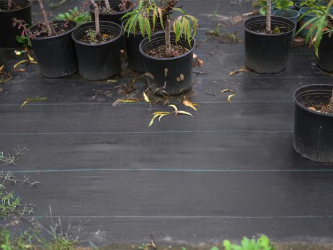 Gruba agrowłóknina agrotkanina 70g 1x30m antchwastowa agrotkanina czarna