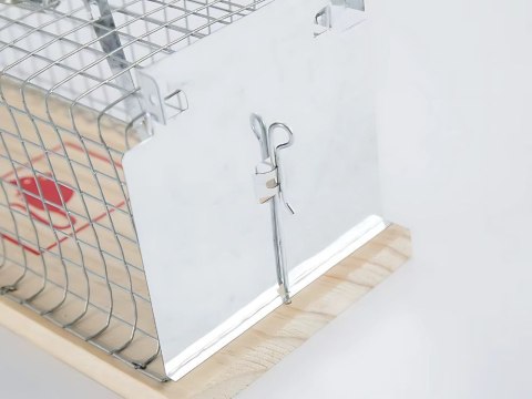 Pułapka żywołapka na szczury gryzonie humanitarna duża metalowa klatka xl